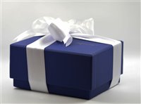 Armband Recarlo Dame in Weißgold Diamante T39SE883/D-16 - T39SE883/D-16